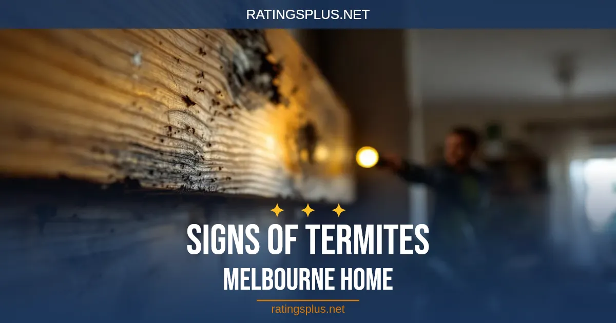 Signs of Termites in Your Melbourne Home: What to Look For