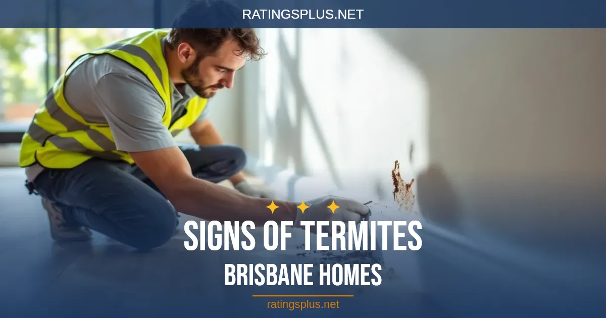 Signs of Termites in Your Brisbane Home: 10 Things to Check